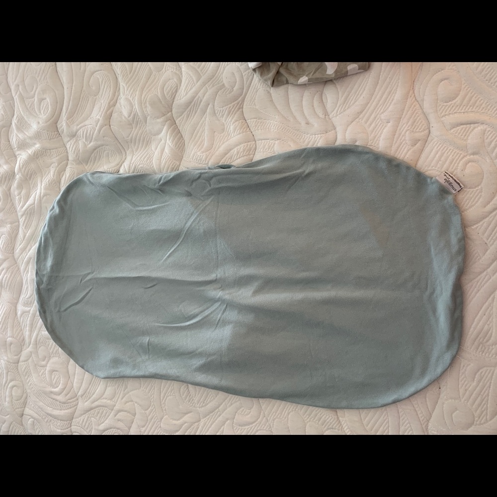 Snuggle me Organic baby blue cover.